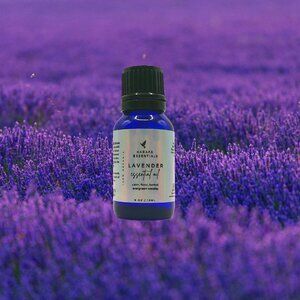 Lavender Essential Oil (Handmade)